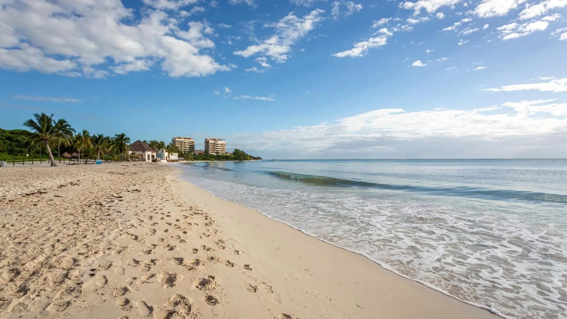 Casa El Encanto Penthouse 532 Sur Condo Playa del Carmen Apartment